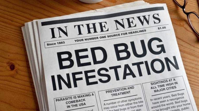 bed bug signs eng