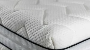 Do Home Remedies for Bed Bugs Work? | Vista Pest Control